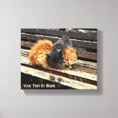 Catnap Cuties Canvas Afdruk (Voorkant)