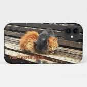 Catnap Cuties Case-Mate iPhone Case (Achterkant (horizontaal))