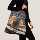 Catnap Cuties Crossbody Tas (Dichtbij)