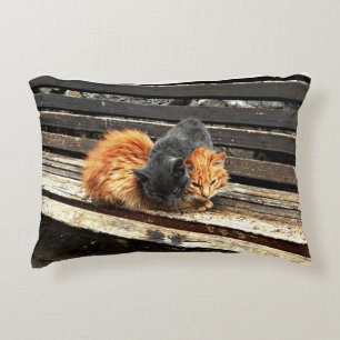 Catnap Cuties Decoratief Kussen