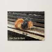 Catnap Cuties Legpuzzel (Horizontaal)