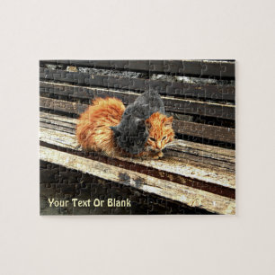 Catnap Cuties Legpuzzel