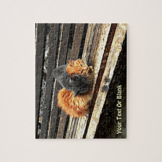 Catnap Cuties Legpuzzel (Verticaal)