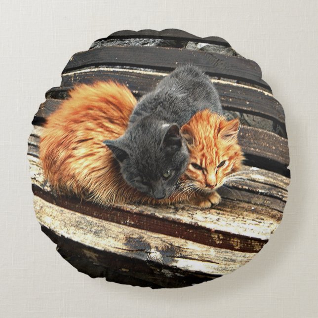 Catnap Cuties Rond Kussen (Voorkant)