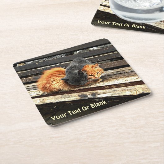 Catnap Cuties Vierkante Kartonnen Onderzetter (Schuin)