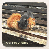 Catnap Cuties Vierkante Kartonnen Onderzetter (Voorkant)