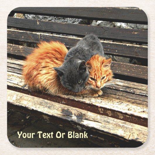 Catnap Cuties Vierkante Kartonnen Onderzetter (Voorkant)