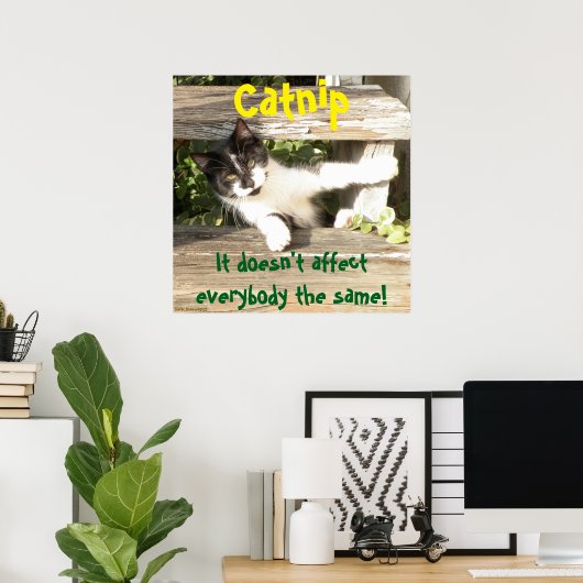 "Catnip", cats, funny, humor, cute, gift Poster (Thuiskantoor)