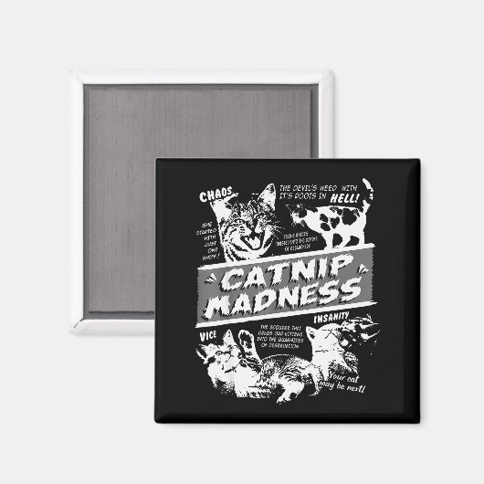 Catnip Madness Cute Kitten Funny Cat Pet Humor Magneet (Voorkant / Achterkant)