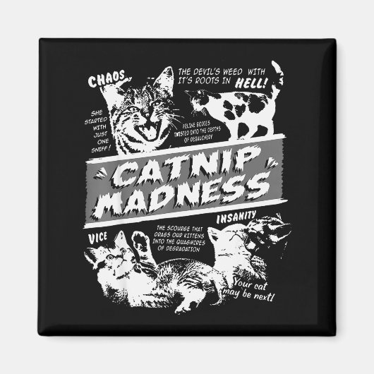 Catnip Madness Cute Kitten Funny Cat Pet Humor Magneet (Voorkant)
