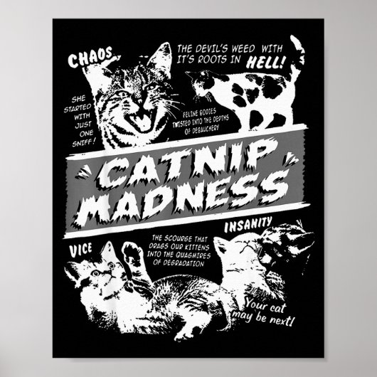 Catnip Madness Cute Kitten Funny Cat Pet Humor  Poster (Voorkant)