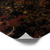 Catoctin Mountains, Maryland Poster (Hoek)