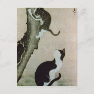 Cats, 17th century (ink on silk) briefkaart
