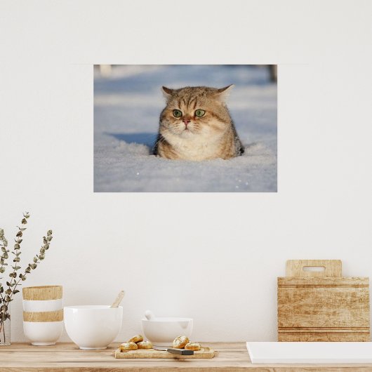 cats_and_snow7 poster (Keuken)