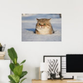 cats_and_snow7 poster (Thuiskantoor)