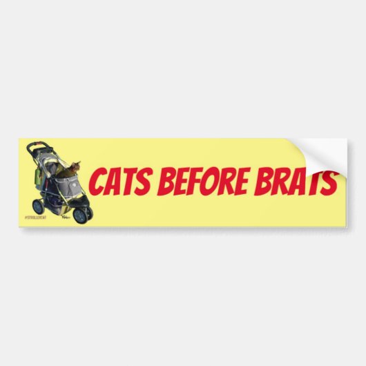 Cats Before Brats Bumper Sticker (Voorkant)