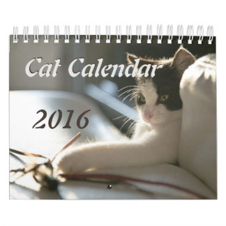 Cats Calendar Kalender