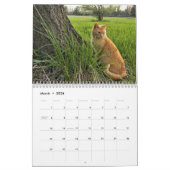 Cats Calendar Kalender (Mar 2026)