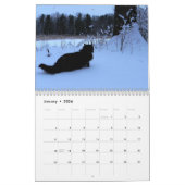 Cats Calendar Kalender (Jan 2026)