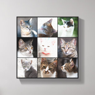CATS CANVAS AFDRUK