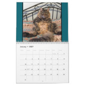 Cats Cats Cats Calendrier des chats (Jan 2027)