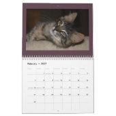 Cats Cats Cats Calendrier des chats (Feb 2027)