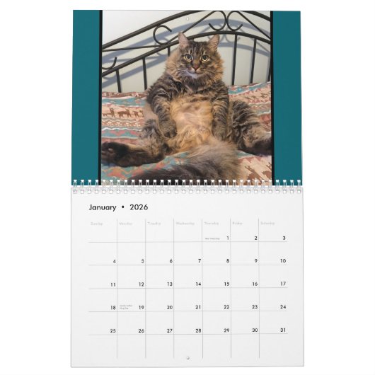 Cats Cats Cats Calendrier des chats (Jan 2026)