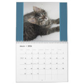 Cats Cats Cats Calendrier des chats (Mar 2026)