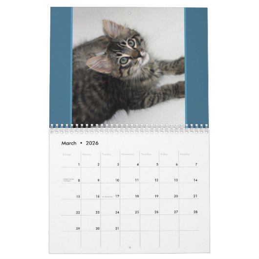 Cats Cats Cats Calendrier des chats (Mar 2026)