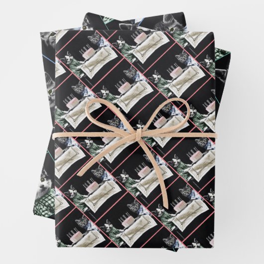 Cats celebrating a birthday with cake and candles inpakpapier vel (In situ)