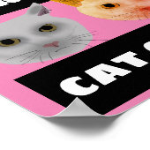 CATS CONTRE CAT APPELS POSTER (Coin)