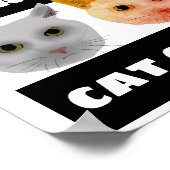 CATS CONTRE CAT APPELS POSTERS (Coin)