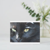 Cat's eet je briefkaart (Staand voorkant)