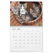 Cats et chatons Calendrier photo pour animaux de c (Mar 2026)