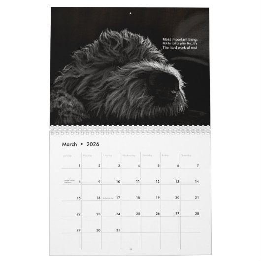 Cats et chiens 2021 Calendrier Haiku (Mar 2026)