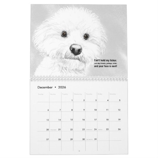 Cats et chiens 2021 Calendrier Haiku (Dec 2026)