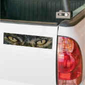 Cat's Eyes Bumpersticker (Op Truck)