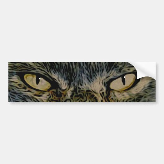 Cat's Eyes Bumpersticker (Voorkant)