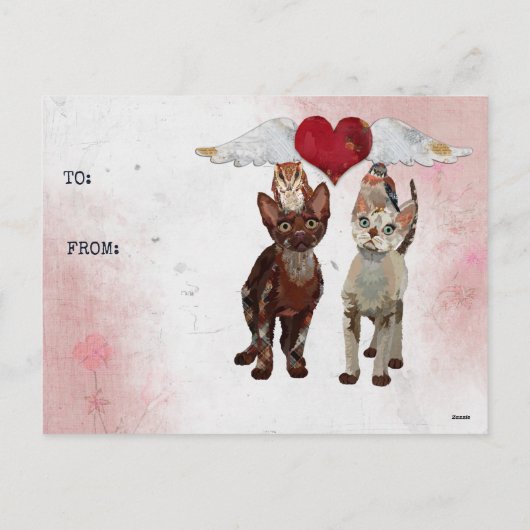 CATS & FEATHERS Carte Postale VALENTINE (Dos)