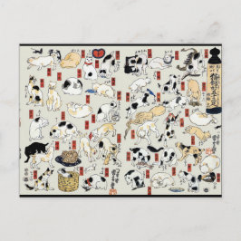 Cats Galore Briefkaart