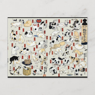 Cats Galore Briefkaart