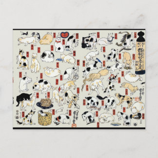 Cats Galore Briefkaart