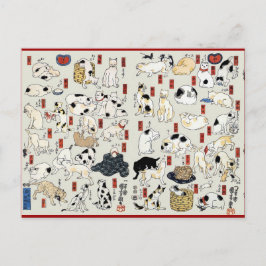 Cats Galore Briefkaart