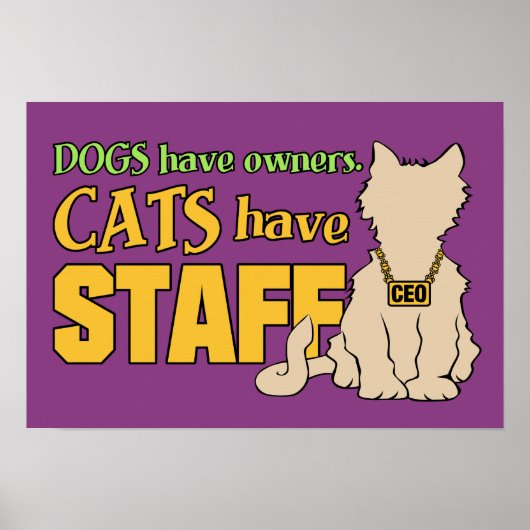 CATS HAVE STAFF custom poster (Devant)