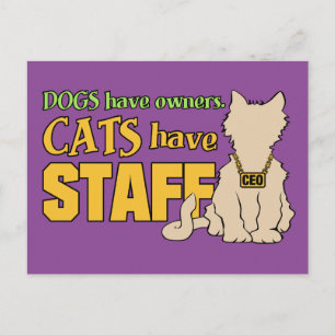 CATS HEBBEN briefkaart VAN PERSONEEL