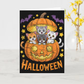 Cats In Pumpkin Cute Halloween Kitties Funny Kaart (Gele Bloem)