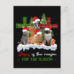 Cats Jesus is de reden voor het kerstfeest.. Briefkaart
