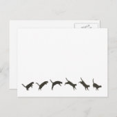 Cats Jumping Briefkaart (Voorkant / Achterkant)