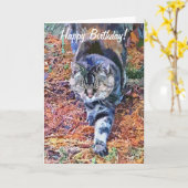 CATS KAART (Gele Bloem)