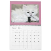 Cats , Kittens , Calendrier KaterinaArt 2016 (Feb 2026)